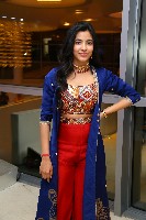 Shivani Nagaram Stills